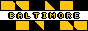 88x31 button that says Baltimore with yellow and black flag