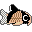 corydora catfish