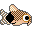 corydora catfish