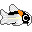 corydora catfish
