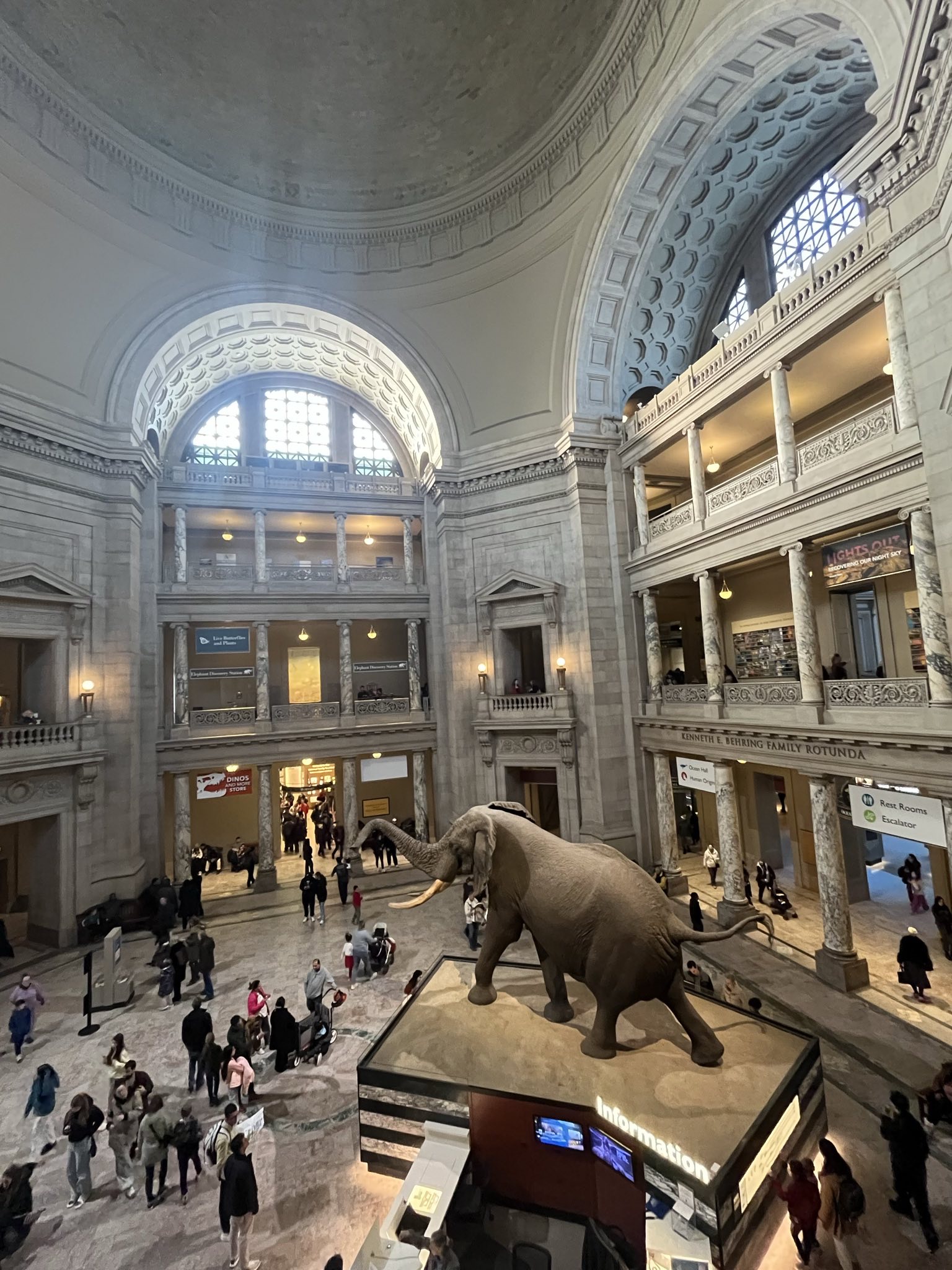 the elephant in the lobby