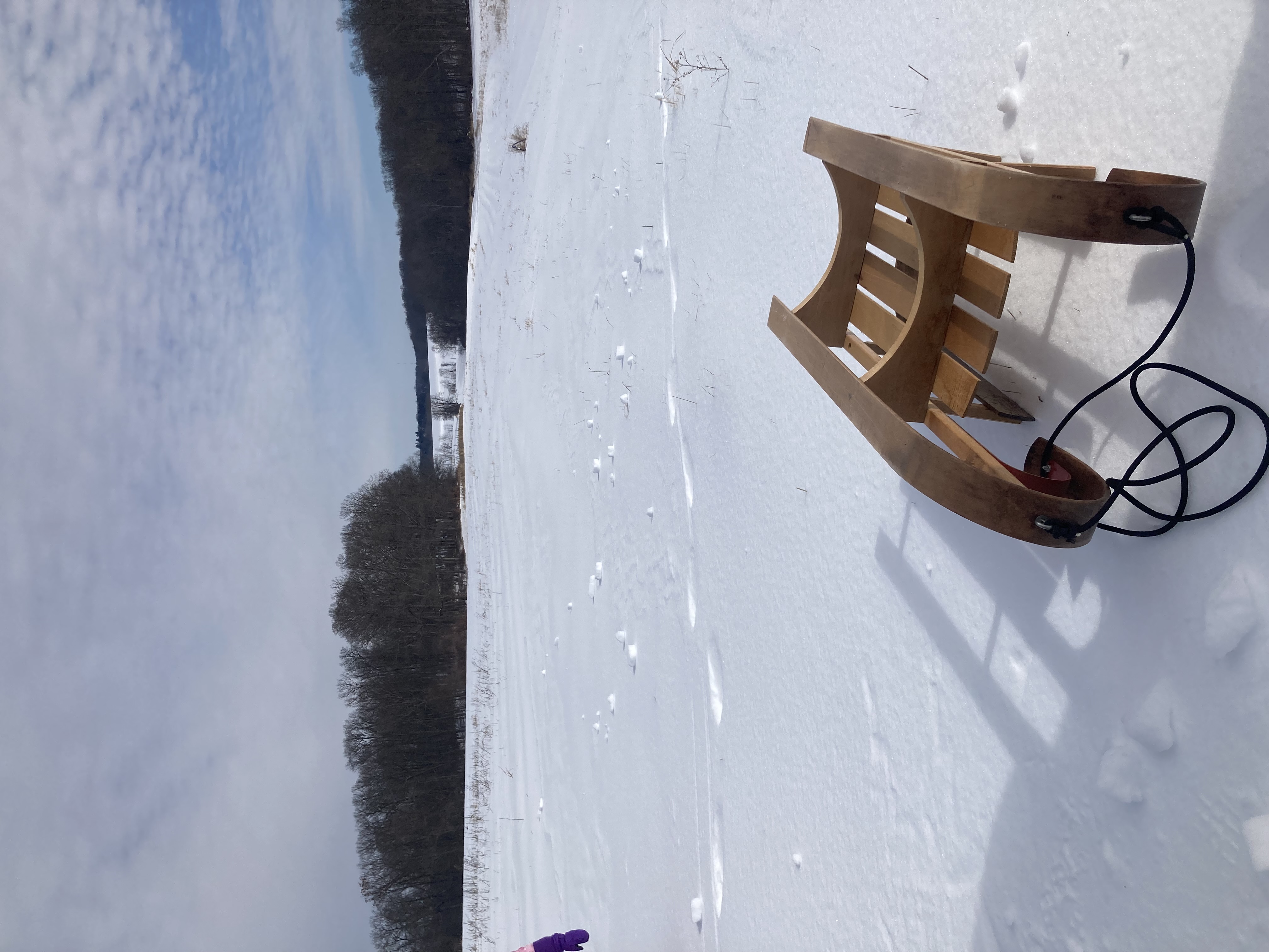 a sled in snow